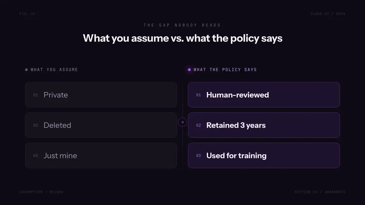 What you assume vs. what the policy says: two-column contrast showing private vs. human-reviewed, deleted vs. retained 3 years, just mine vs. used for training