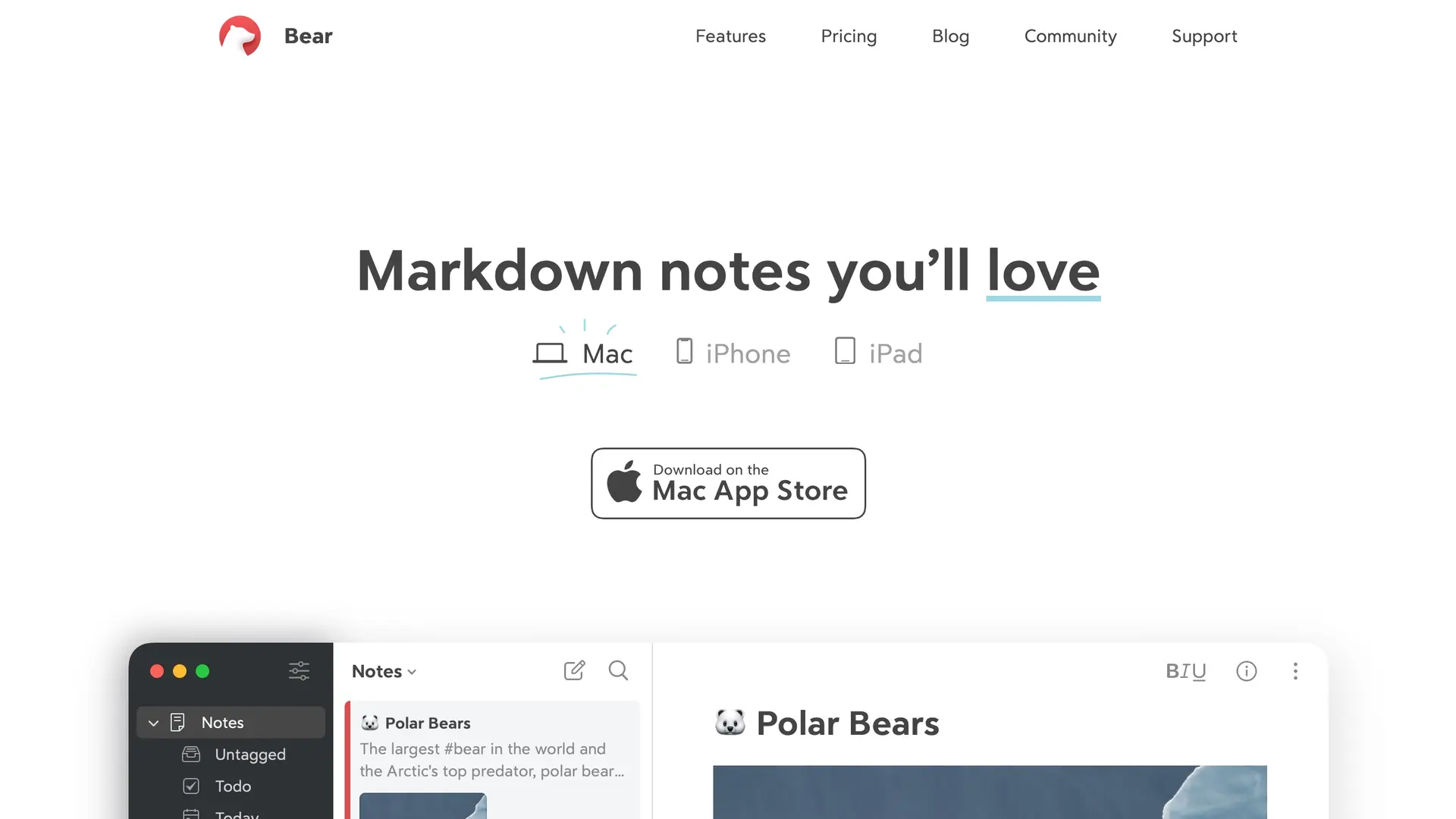 Bear on Mac showing the Writing Tools menu on a note