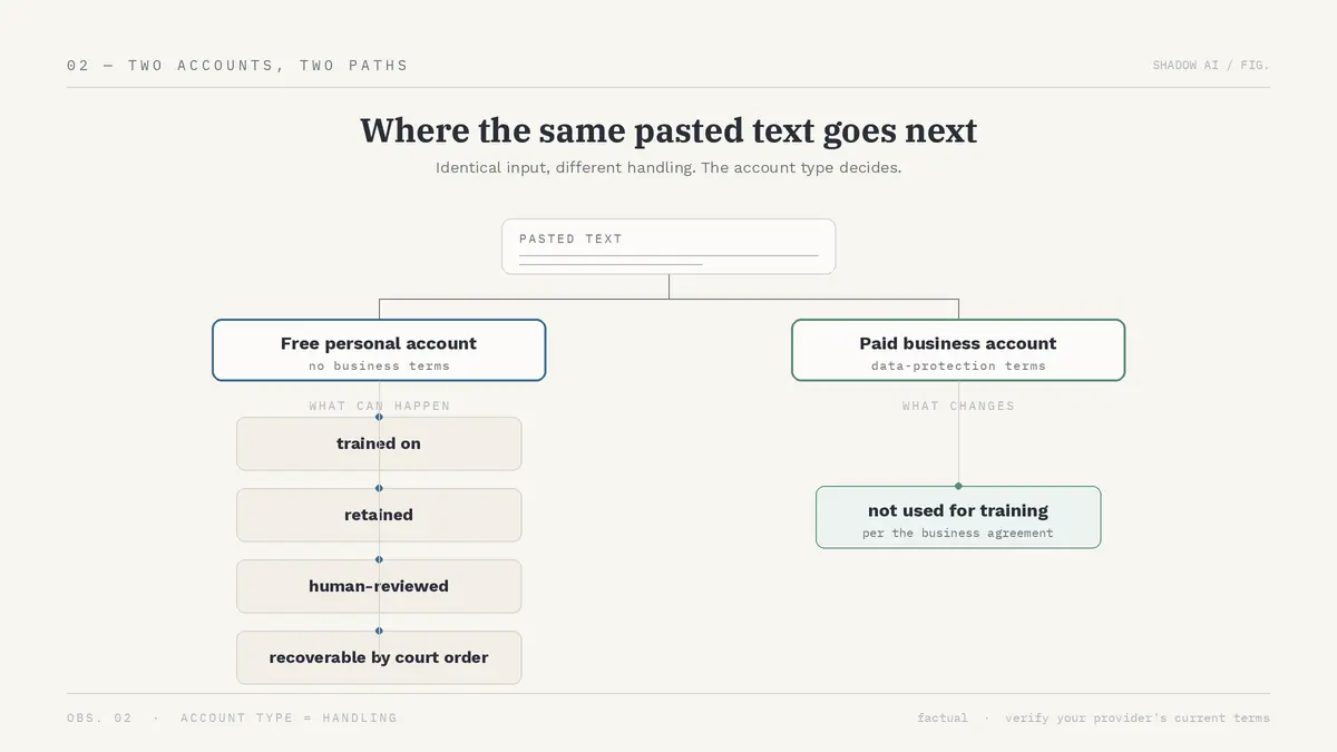 Where pasted text goes on a free personal account versus a paid business account