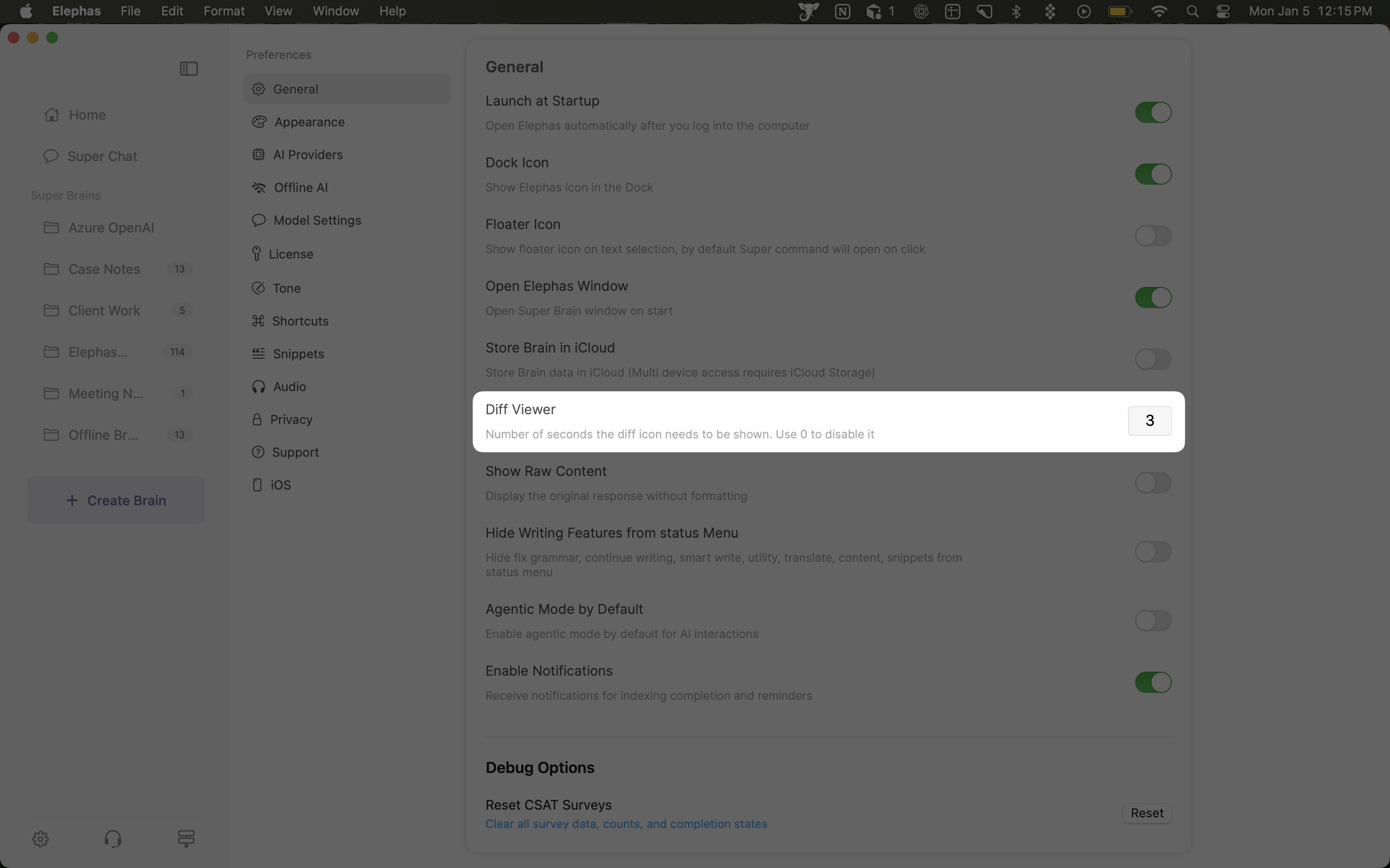 The Diff Viewer setting in Preferences, General, set to show the diff indicator for a number of seconds.